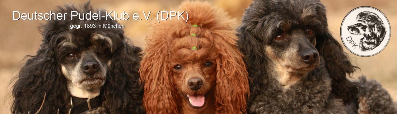 Banner DPK