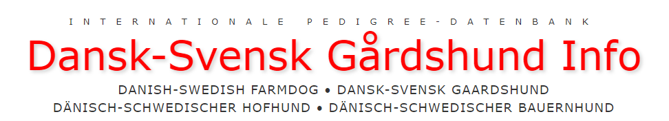 Logo DSG