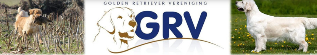 Logo GRV