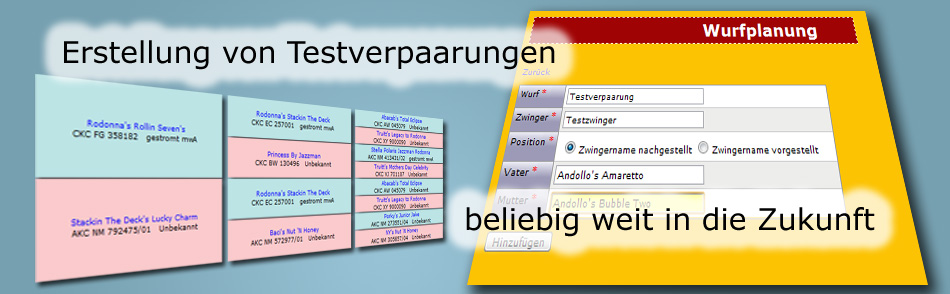 slide2.jpg