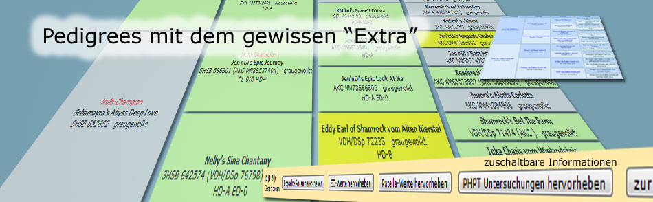 slide4.jpg