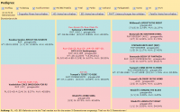 pedigree_01
